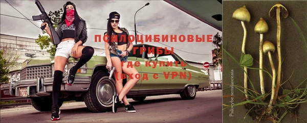 амф Абинск