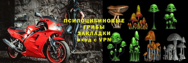 амф Абинск