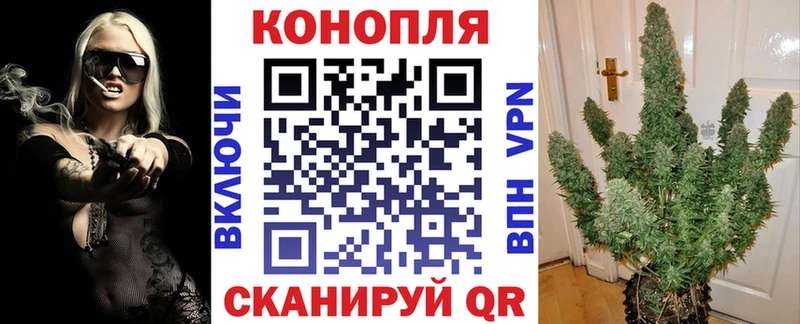 Бошки Шишки планчик где найти наркотики Сольвычегодск